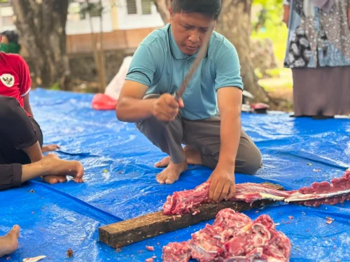 Qurban 2026