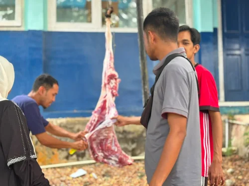 Qurban 2026