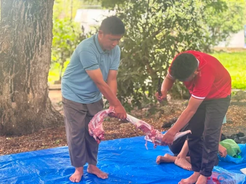 Qurban 2026