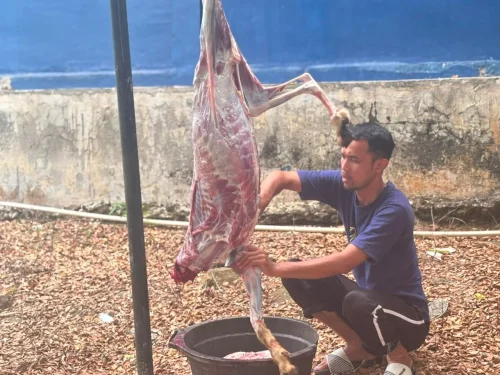 Qurban 2026